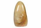 Free-Standing, Polished Brown Calcite #199052-1